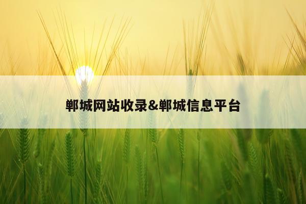 郸城网站收录&郸城信息平台