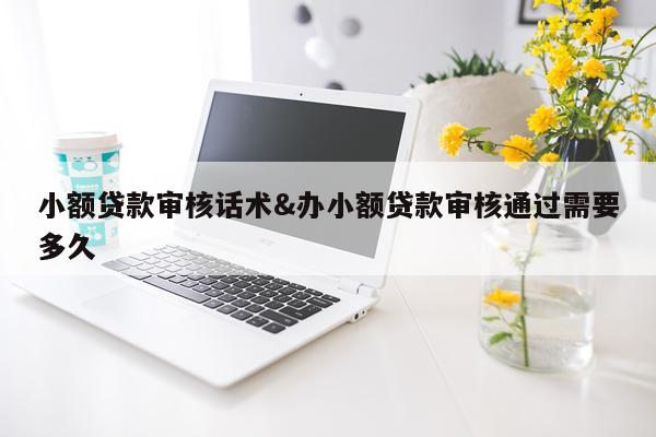 小额贷款审核话术&办小额贷款审核通过需要多久
