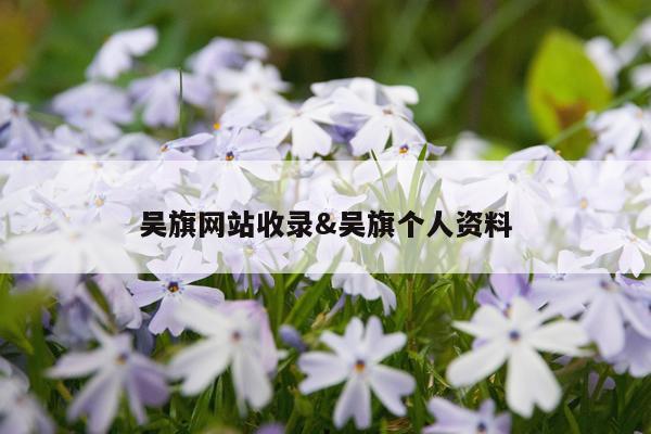 吴旗网站收录&吴旗个人资料