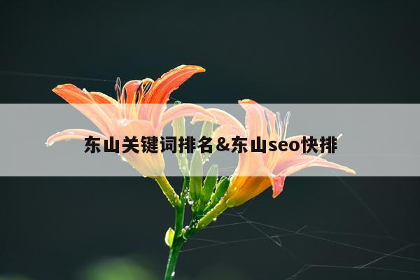 东山关键词排名&东山seo快排