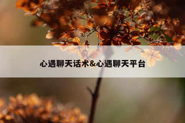 心遇聊天话术&心遇聊天平台