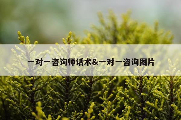 一对一咨询师话术&一对一咨询图片