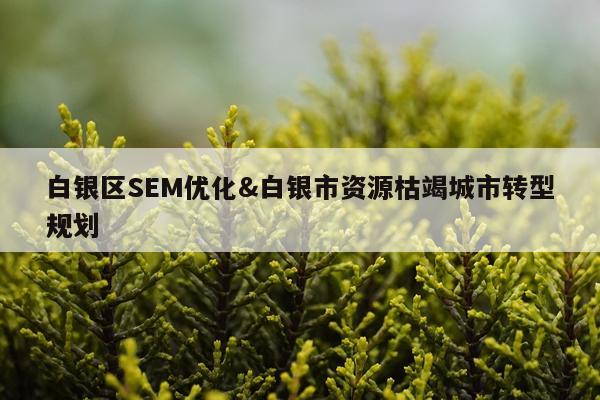 白银区SEM优化&白银市资源枯竭城市转型规划