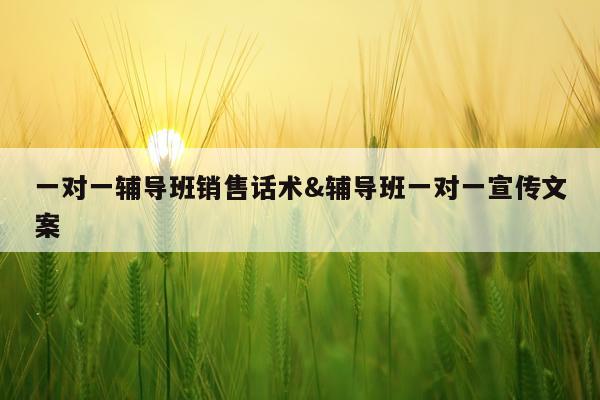 一对一辅导班销售话术&辅导班一对一宣传文案