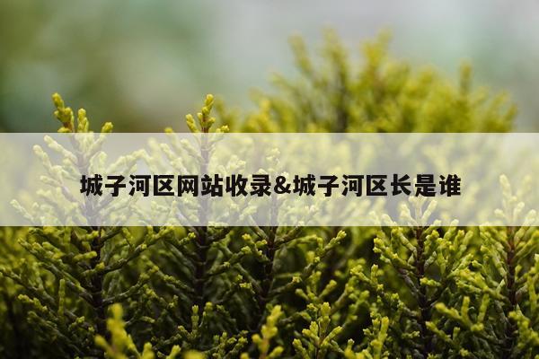 城子河区网站收录&城子河区长是谁