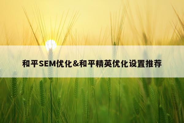 和平SEM优化&和平精英优化设置推荐