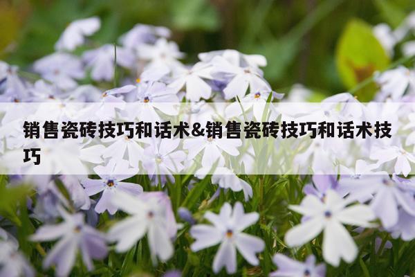 销售瓷砖技巧和话术&销售瓷砖技巧和话术技巧