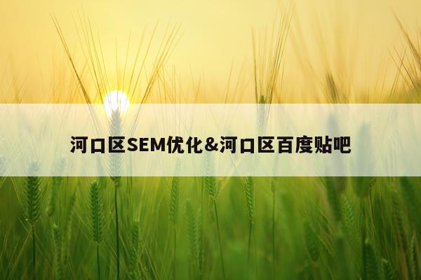 河口区SEM优化&河口区百度贴吧