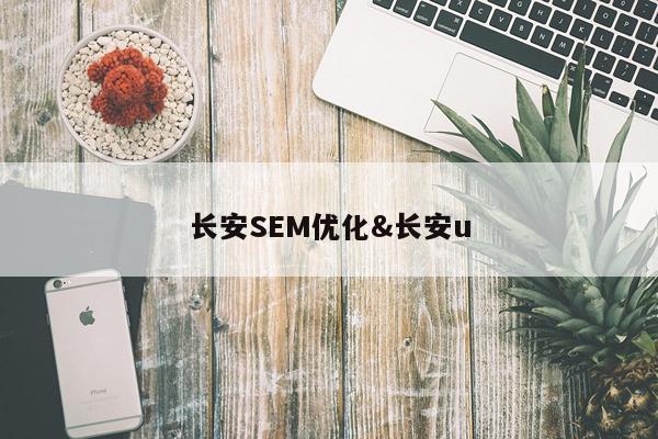 长安SEM优化&长安u