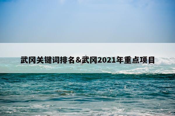武冈关键词排名&武冈2021年重点项目