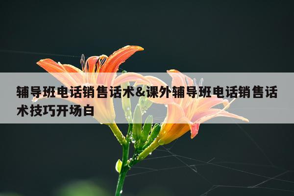 辅导班电话销售话术&课外辅导班电话销售话术技巧开场白