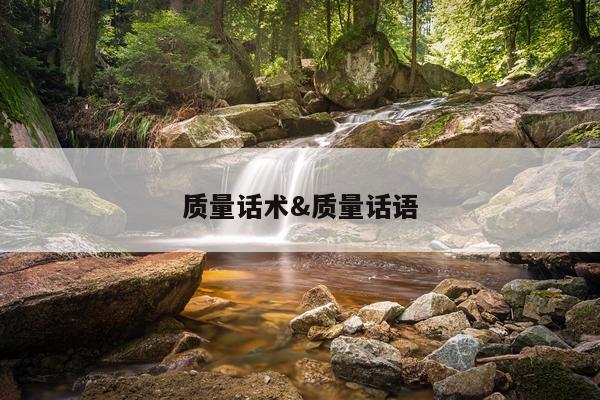 质量话术&质量话语