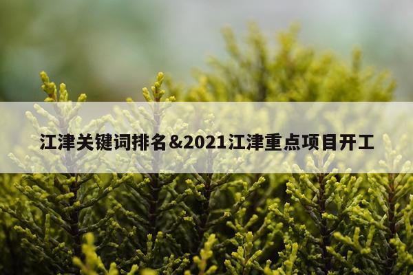 江津关键词排名&2021江津重点项目开工