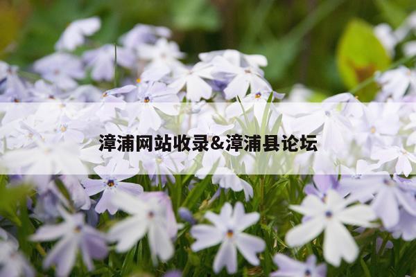 漳浦网站收录&漳浦县论坛