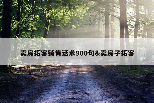 卖房拓客销售话术900句&卖房子拓客