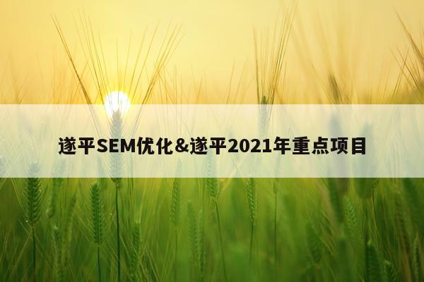 遂平SEM优化&遂平2021年重点项目