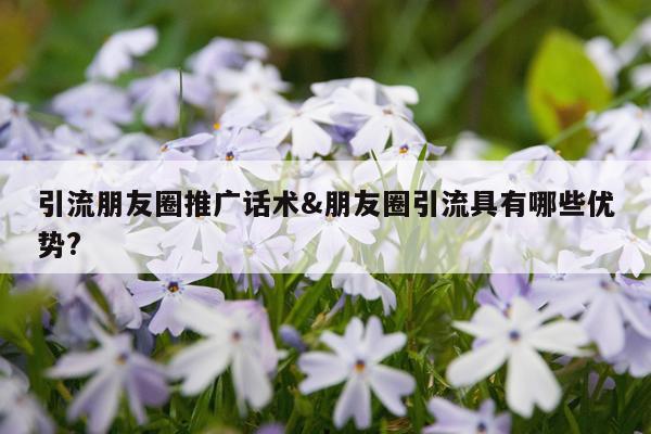 引流朋友圈推广话术&朋友圈引流具有哪些优势?