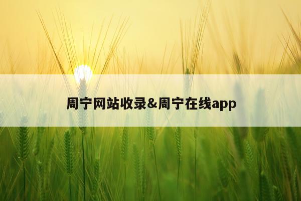 周宁网站收录&周宁在线app