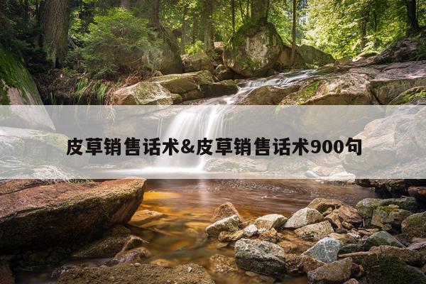 皮草销售话术&皮草销售话术900句