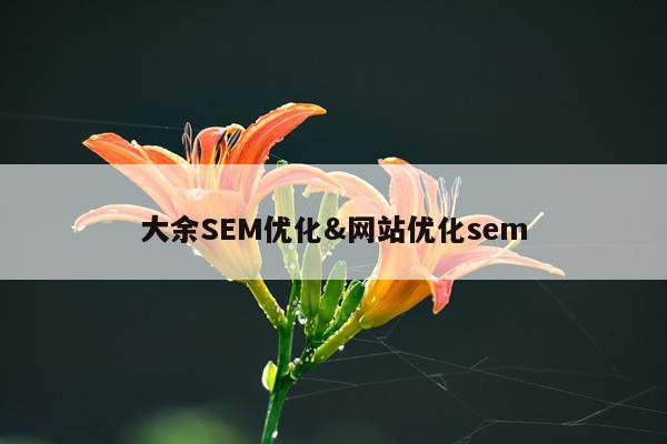 大余SEM优化&网站优化sem