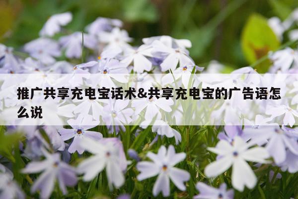 推广共享充电宝话术&共享充电宝的广告语怎么说