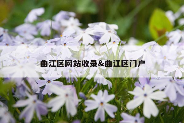 曲江区网站收录&曲江区门户