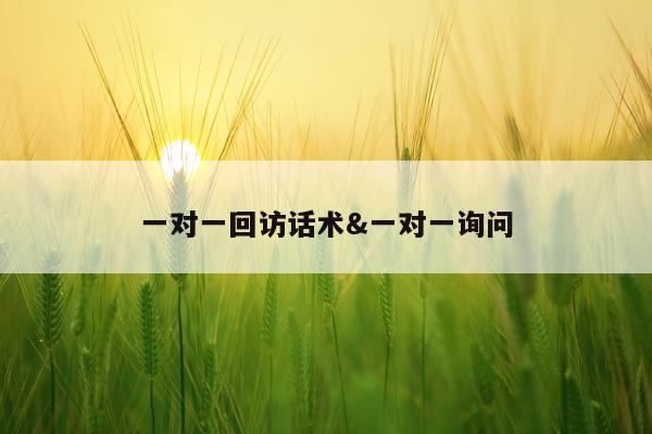 一对一回访话术&一对一询问