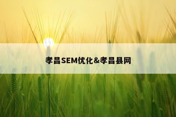 孝昌SEM优化&孝昌县网