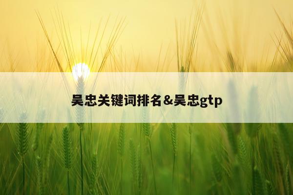 吴忠关键词排名&吴忠gtp