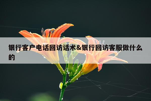 银行客户电话回访话术&银行回访客服做什么的