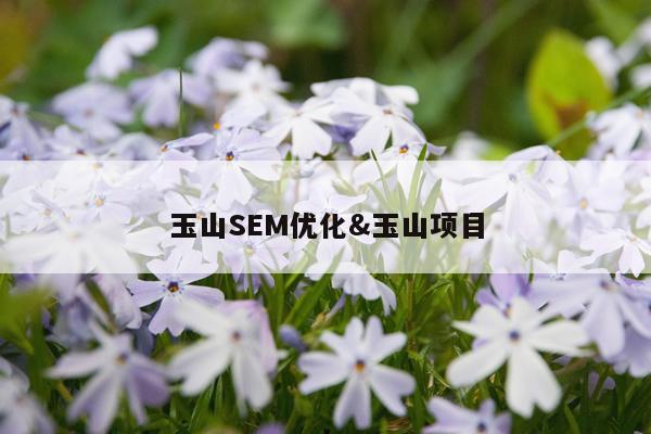 玉山SEM优化&玉山项目