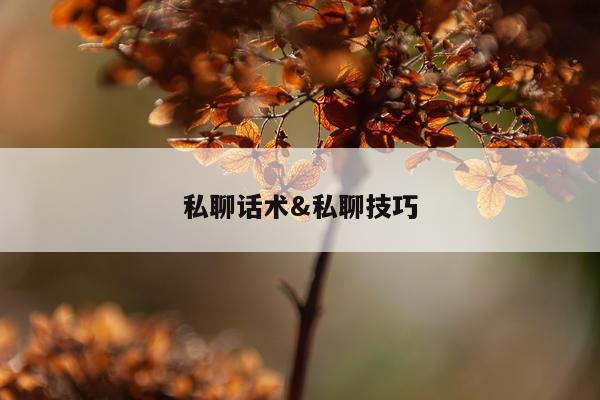 私聊话术&私聊技巧