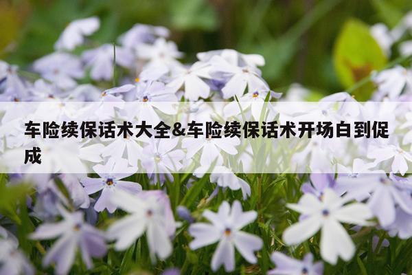车险续保话术大全&车险续保话术开场白到促成