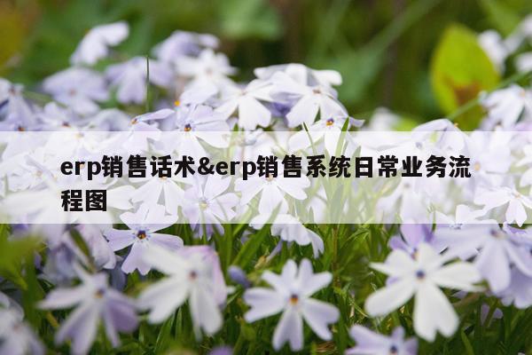 erp销售话术&erp销售系统日常业务流程图