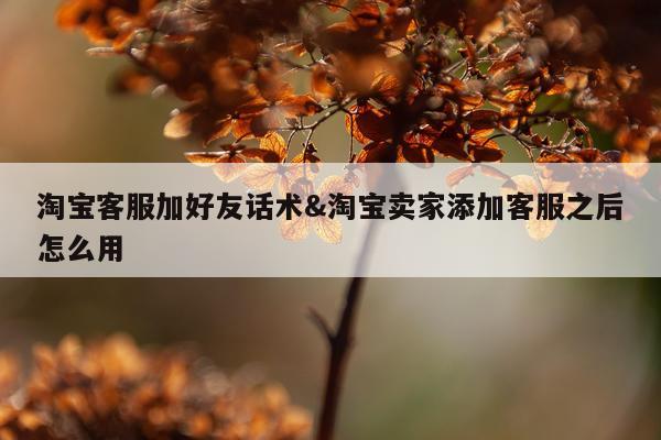淘宝客服加好友话术&淘宝卖家添加客服之后怎么用