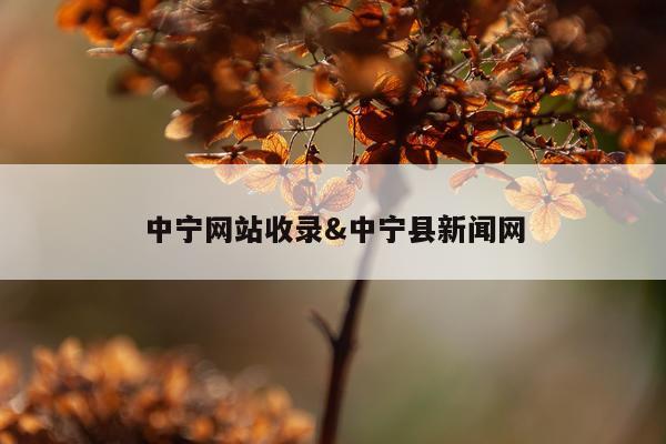 中宁网站收录&中宁县新闻网