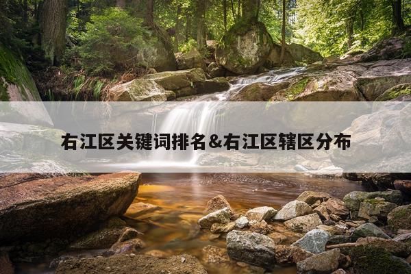 右江区关键词排名&右江区辖区分布