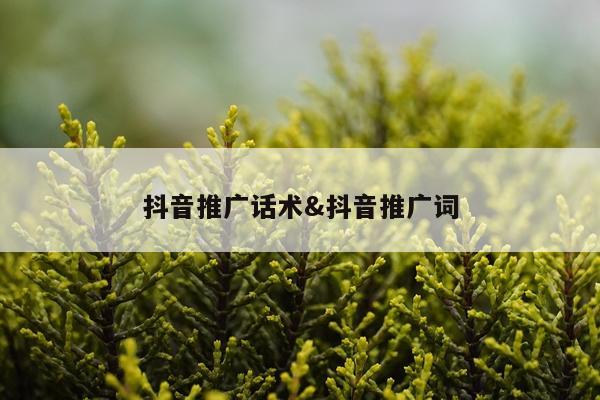抖音推广话术&抖音推广词