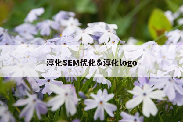 淳化SEM优化&淳化logo