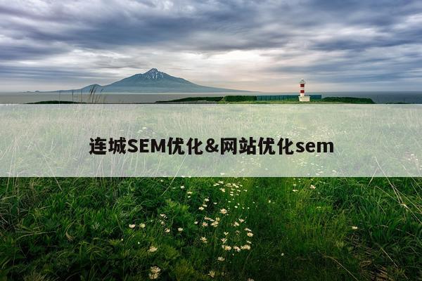 连城SEM优化&网站优化sem