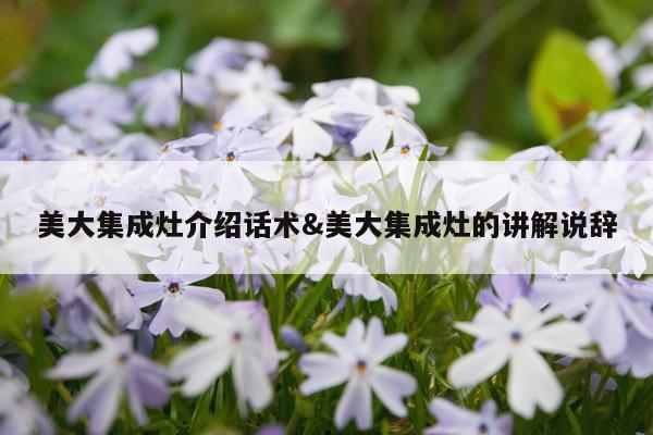 美大集成灶介绍话术&美大集成灶的讲解说辞