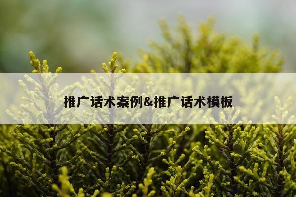 推广话术案例&推广话术模板