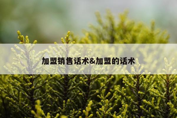 加盟销售话术&加盟的话术