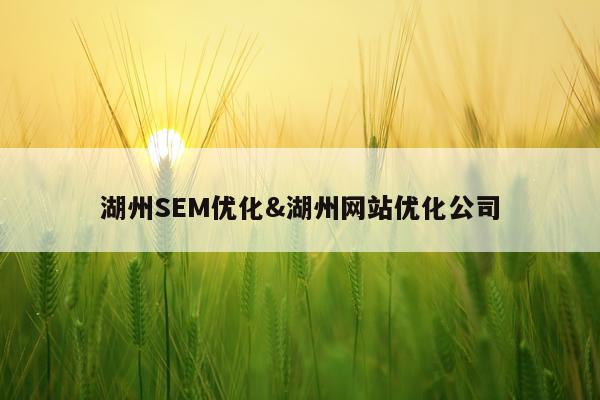 湖州SEM优化&湖州网站优化公司