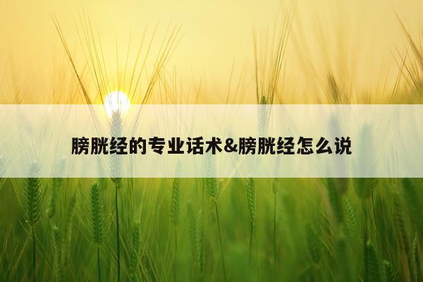膀胱经的专业话术&膀胱经怎么说