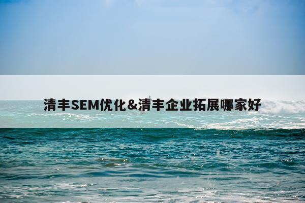 清丰SEM优化&清丰企业拓展哪家好