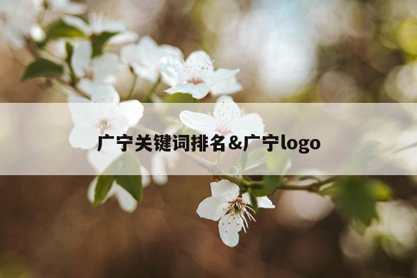 广宁关键词排名&广宁logo