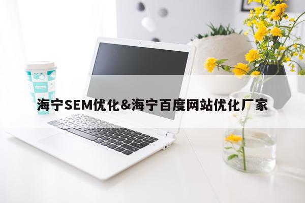 海宁SEM优化&海宁百度网站优化厂家