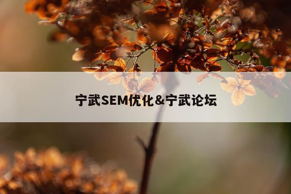 宁武SEM优化&宁武论坛