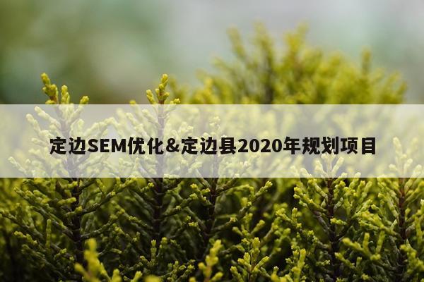 定边SEM优化&定边县2020年规划项目